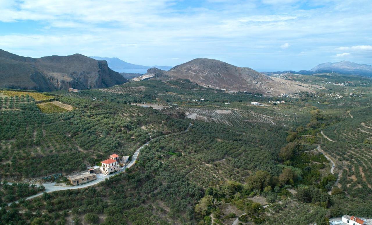 Olive Villas Kría Vrísi Exteriör bild